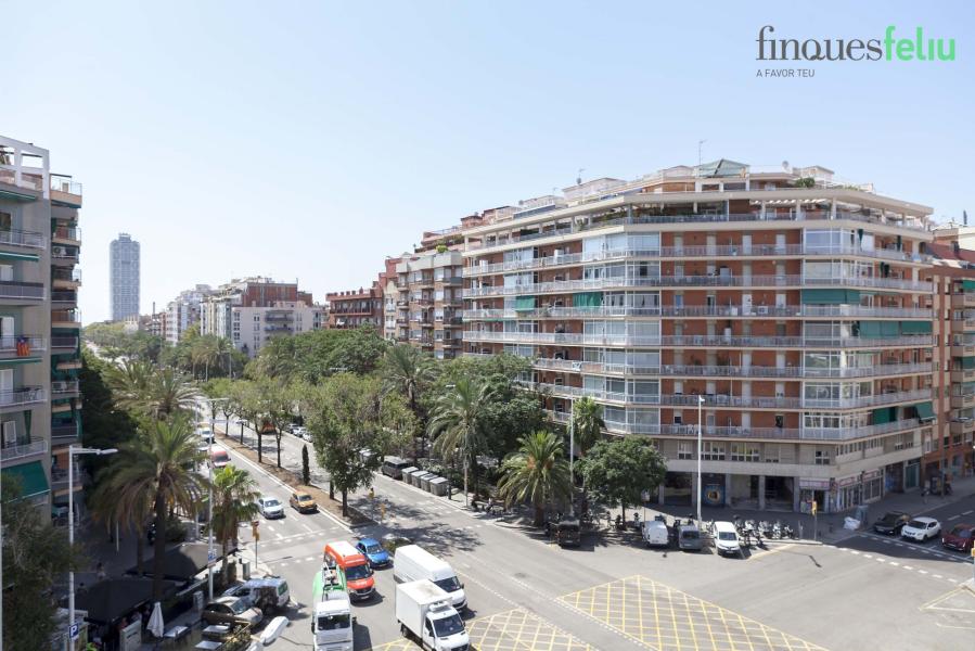 https://www.finquesfeliu.es/TAAFSynch/imagesNW/4148_51_1694781206.jpg