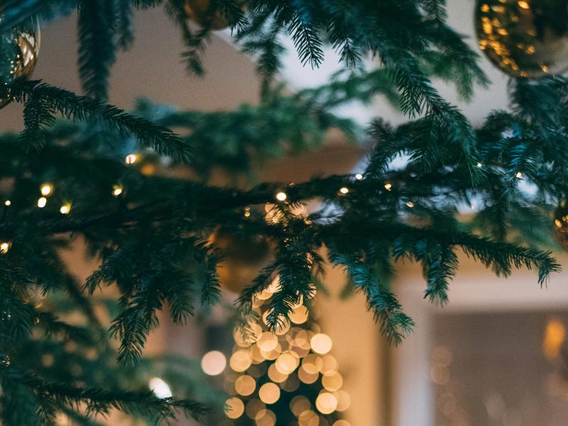 10 coses que has de tenir en compte quan te'n vas de viatge